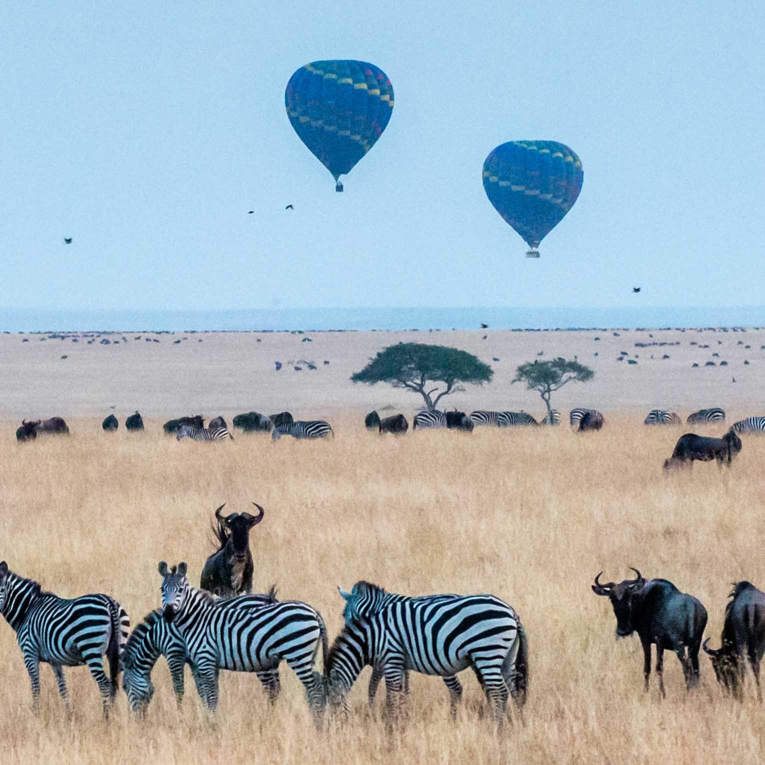 3 Day Masai Mara Safari Easter Special